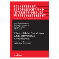 Völkerrechtliche Perspektiven auf die internationale Streitbeilegung